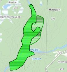 Den rødlistede arten fossenever (sårbar VU) er registrert i denne bekkekløfta. Tiltaket vil berøre naturtypelokaliteten «Almdalen ved Almmoen» (figur 5).