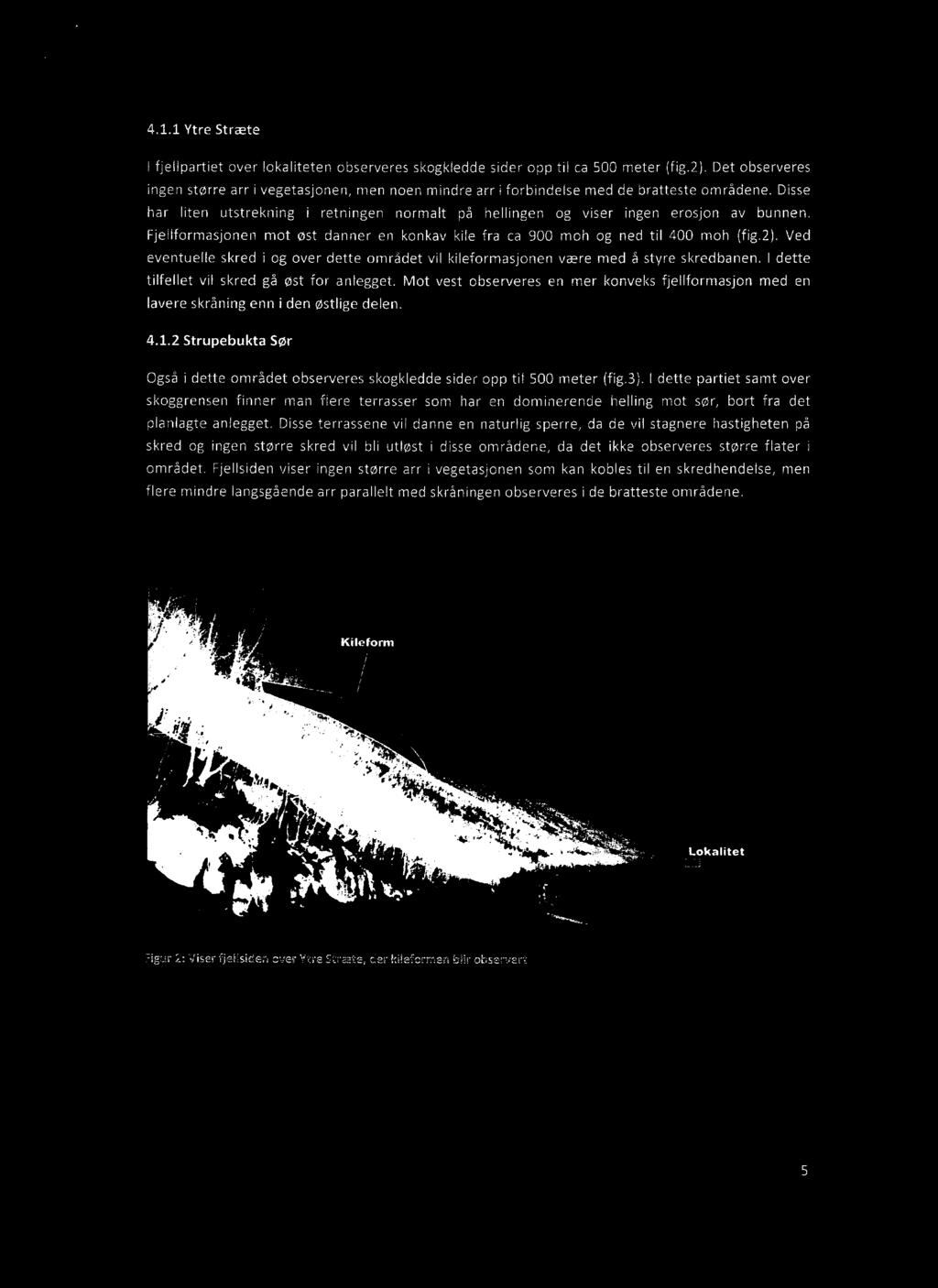 2 Strupebukta Sør Også i dette området observeres skogkledde sider opp til 500 meter (fig.3).