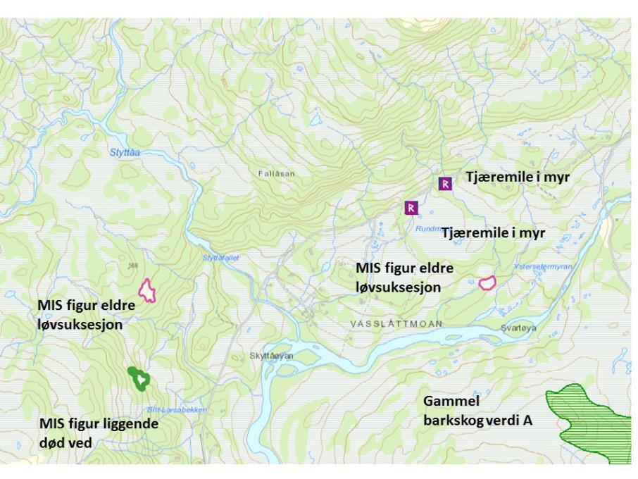 Kartet viser kartlagte naturtyper, forvaltningsrelevante arter og kulturminner i området rundt Styttåa. Kilde: Naturbase.