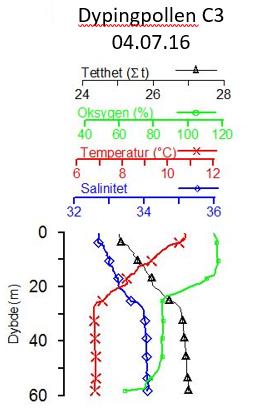 4 Resultater 4.1 Hydrografi og oksygen Vertikalprofilene for temperatur, salinitet, tetthet og oksygenmetning på C3 og C4 i Dypingspollen er vist i Figur 3.