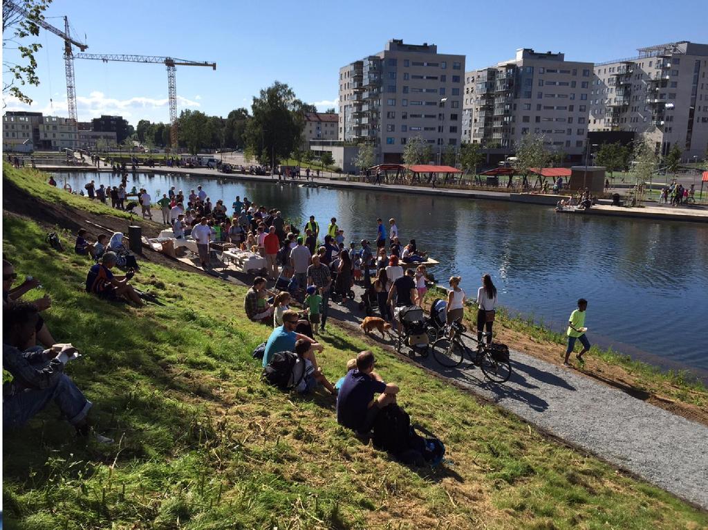 Gjenåpning av Hovinbekken -