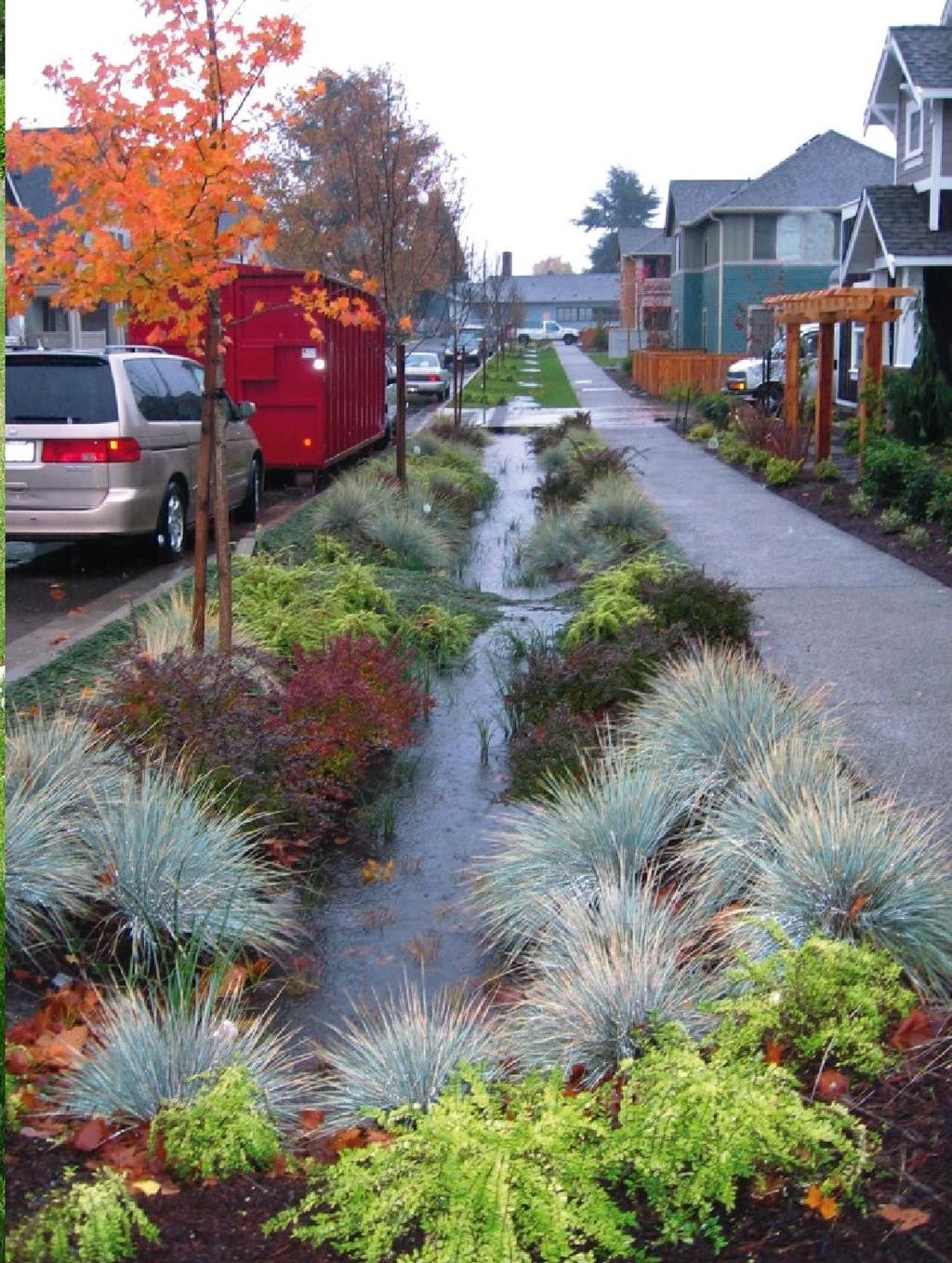 parking lot runoff, Quarry Park