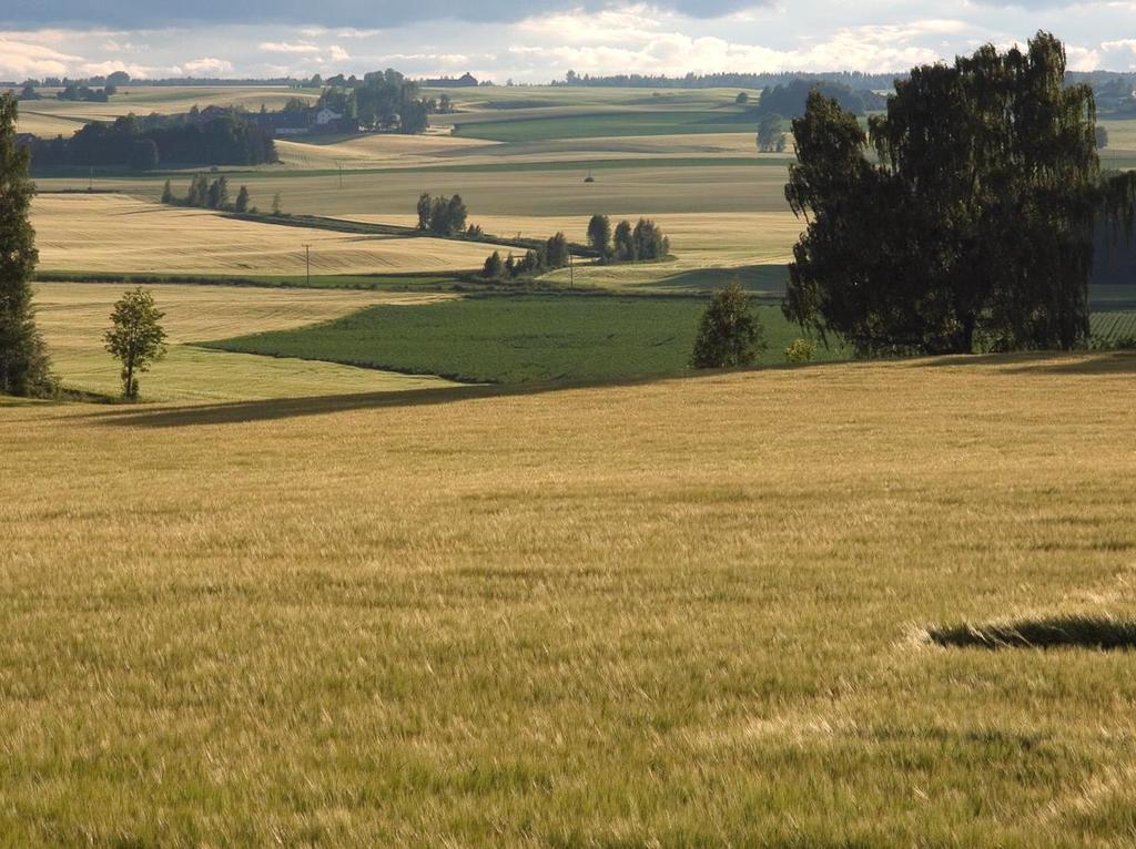 NIBIOs hovedområder er: Mat- og planteproduksjon, miljø og klima, kart og arealbruk, genressurser, skog, foretaks-, nærings- og