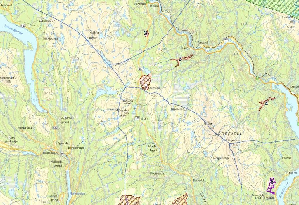 Forslag til planprogram for Regional plan for Norefjell Reinsjøfjell Høringsutgave 23.08.