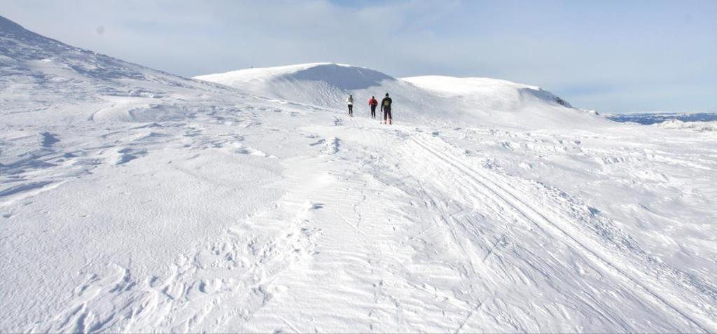 Forslag til planprogram for Regional plan for Norefjell Reinsjøfjell Høringsutgave 23.08.