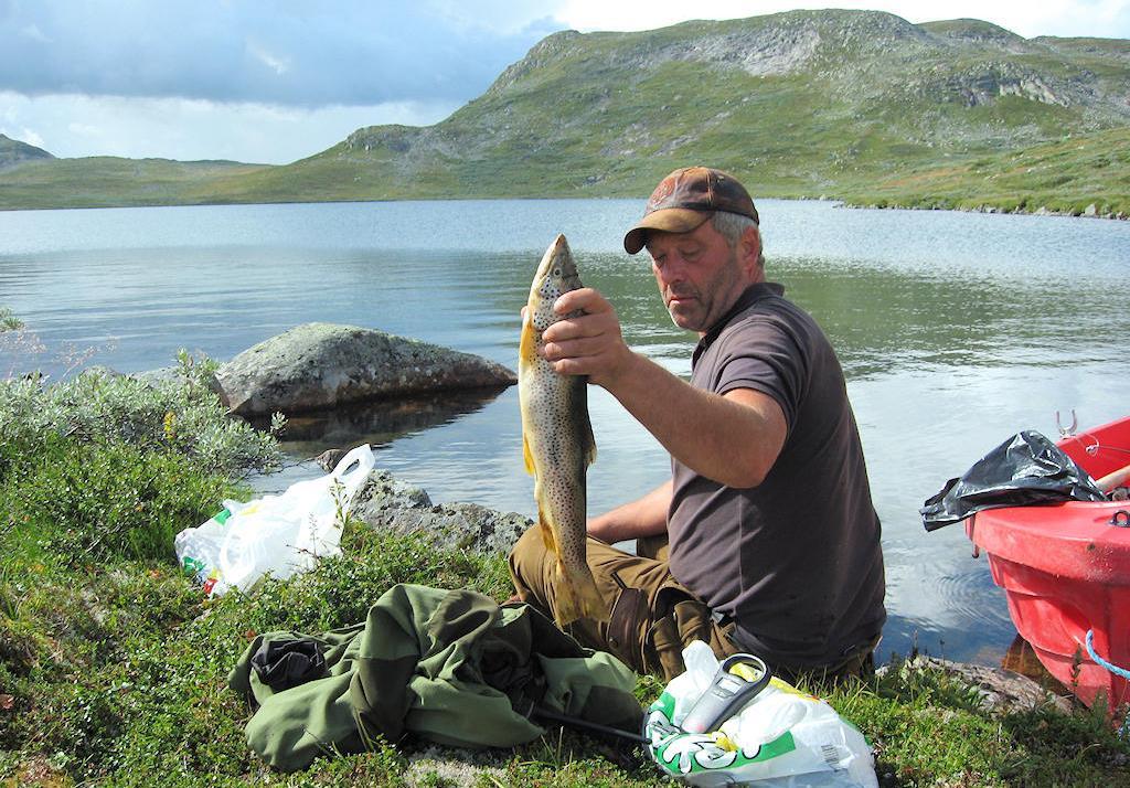 Forslag til planprogram for rullering av Regional plan for Hardangervidda. Høringsutgave 24.08.2017 2.