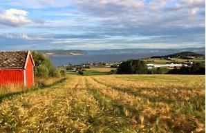 Frosta Stjørdal Meråker Hemne Orkdal