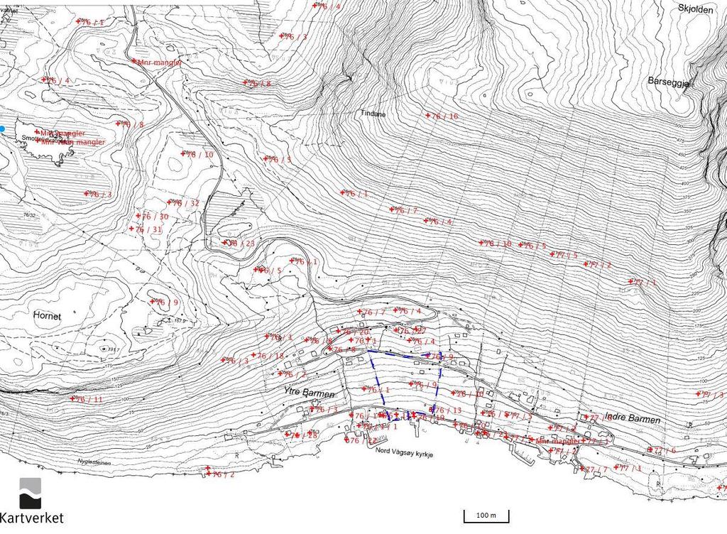 3. Analyse: Kart og satelittdata Figur 3 Grunnkart(Kartverket) Det er utført kartanalyse basert på grunnkart. Siden ligger sør-vendt, med et relieff på rundt 450 moh.