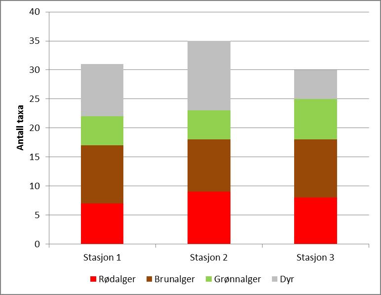 4.2 Resultater fra strandsoneundersøkelsene En oversikt over arter/taxa registrert på de tre undersøkte stasjonene er gitt i Vedlegg B. Det ble registrert til sammen 34 taxa alger og 13 taxa dyr.