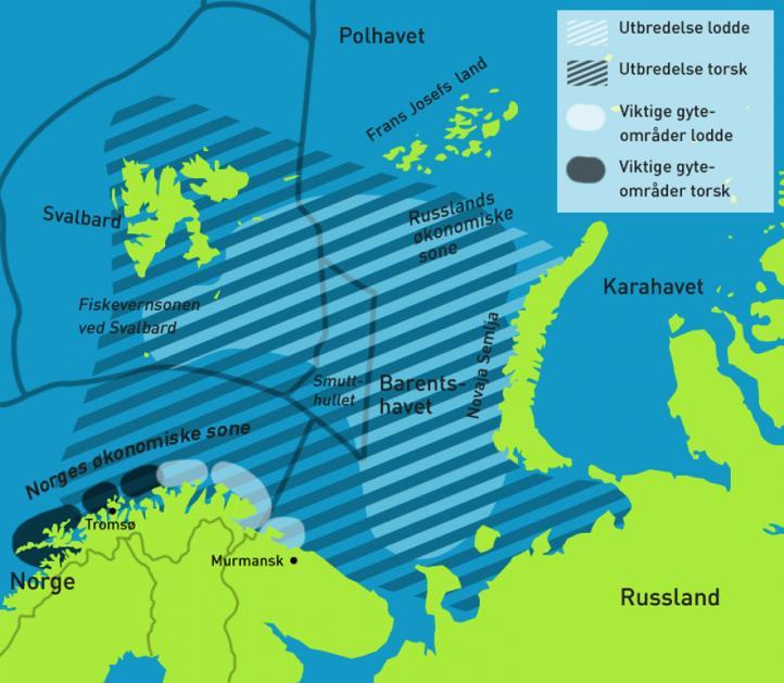 Mehamn og Finnmark midt i smørauga Kjernevierksemda