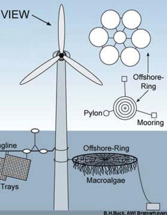 Offshore vind og energitare på øyemål 6 ringer med diameter 100 meter -> Ca.