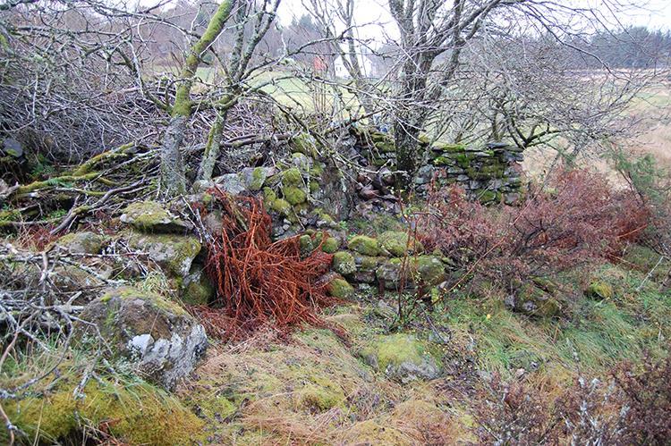 Aust for Hopland, ved overgangen mellom innmark og utmark, ligg det to steingardar (N 1 og N 12), ein ruin (N 2 sjå fig.