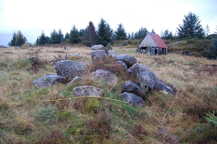 På Førland, langs bekken som renn tvers gjennom tiltaksområde 2c, ligg det to steingardar (N 13 og N 14), restar etter
