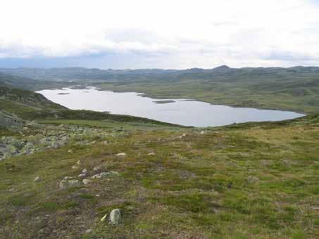 Figur 2. Sandvatn sett mot vest. Fylkesgrensen mellom Telemark og Hordaland går nær innløpet. 2. Dybdekart og morfometri Sandvatn og Dargesjåen er grunne innsjøer med maksimaldyp på 13 til 15 m (Fig.