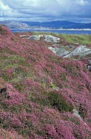 utvald naturtype. Høringsfrist 1.