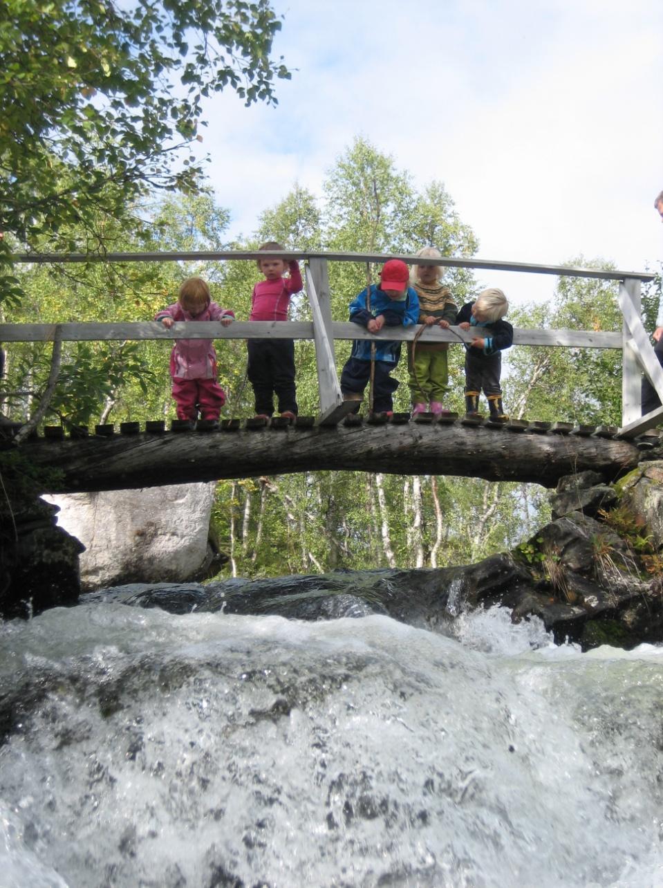 Barnas nasjonalpark Idèen om barnas nasjonalpark ble første gang lansert av Øystein Dahle (daværende styreleder for DNT) under åpningen av Junkerdal nasjonalpark i 2004.