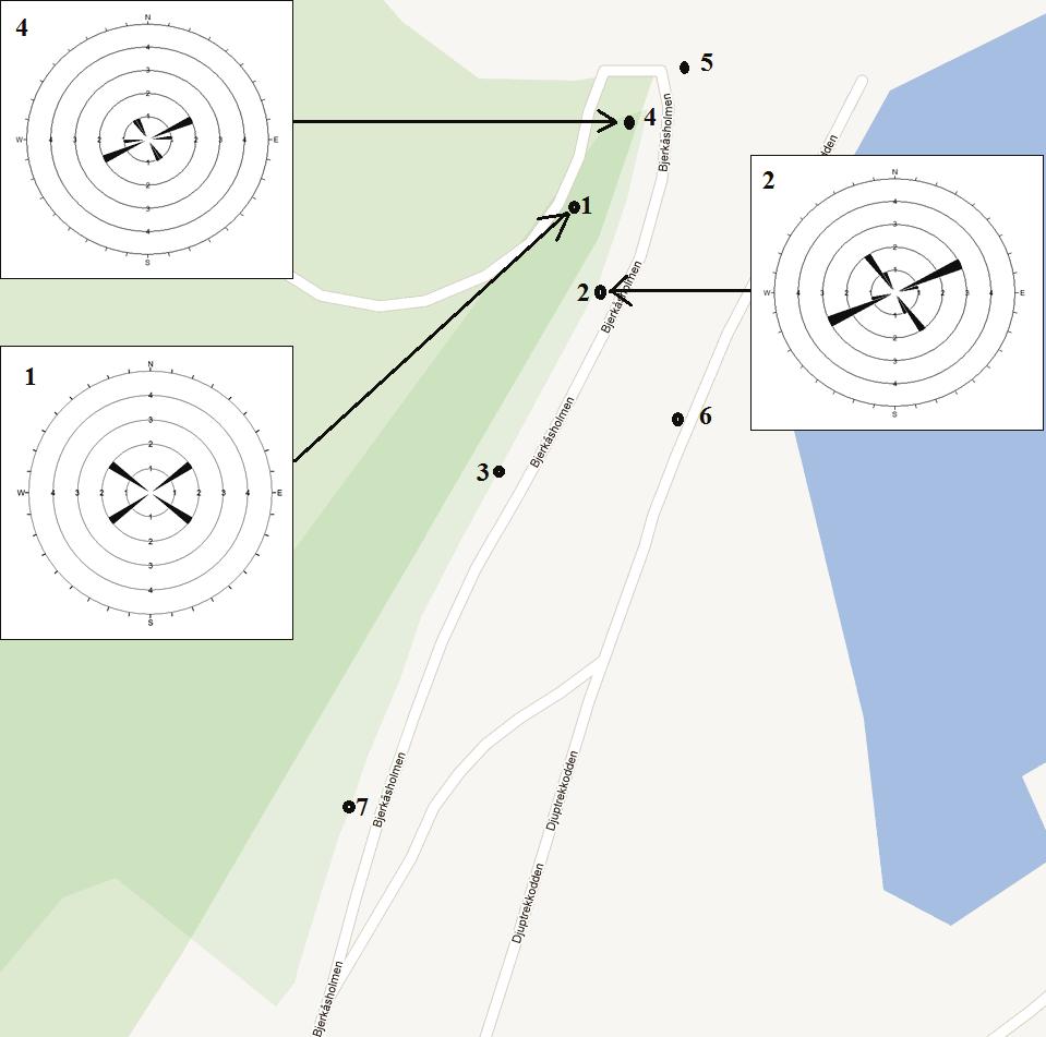 Figur 3: Lokaliteter for sprekkekartlegging og fotografering, inkludert sprekkeroser for lokalitet, 2 og 4 Figur 3 viser sprekkeroser for de strøk- og fall-målingene ved lokalitet, 2 og 4.