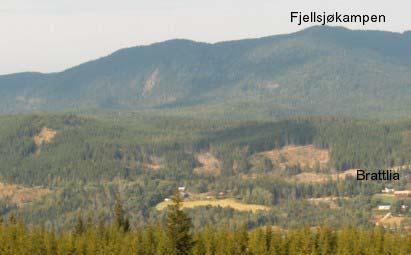 De lavereliggende delene av kommunen ligger innenfor sørboreal barskogssone, mens åsområdene tilhører mellomboreal sone.