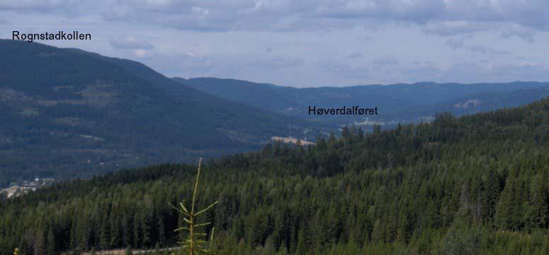 kambriske/ordovisiske bergarter av marint opphav langs nederste del av Skrukkelidalføret og opp mot Svartungen (Larsen et al. 2004). Marin grense i Hurdal ligger på ca. 215 m.o.h. Nedenfor dette høydelaget består løsmassene av mektige leireavsetninger fra den gang dette var havbunn.