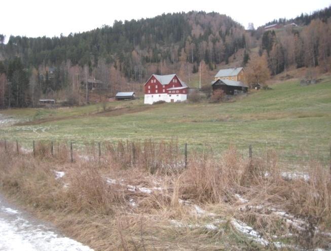 Mens det i 2007/2008 var seks barneskoler skal en fra skoleåret 2012/2013 ha etablert en felles barneskole for hele