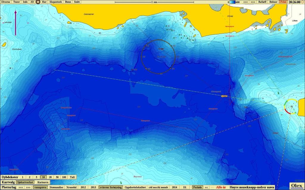 Figur nr. 2. Oversikt over anleggets plassering ved lokaliteten. Figuren viser 10 meters dybdekoter. Lilla pil viser retning mot nord. De grønne kryssene markerer grabbprøvepunkter.