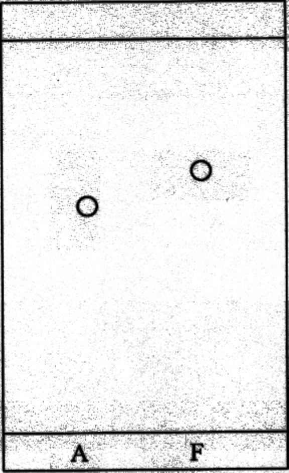 H HO~>r 4-acetarnidfenl Løsningsmiddelfrnten var her da platen ble tatt ut av krmatgrafikaret Frbindelsene ble applisert på platen ved denne linja A F A: 4-acetamidfenl F. Fenacetin d.