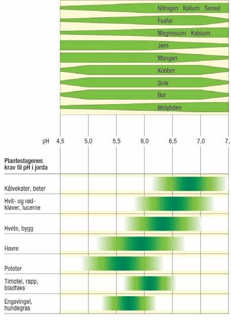 Kalking Opptaket av næringsstoffer er avhengig av ph