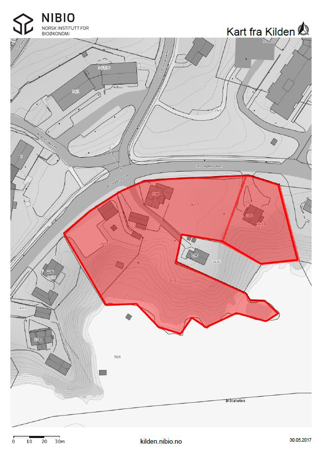 Sak 54/17 Samlet sett vil ervervet øke mulighetene for å styre utviklingen i Prestfoss sentrum.