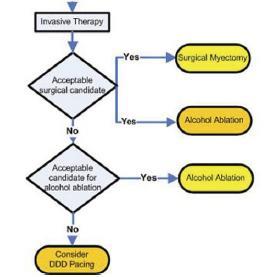 ACC/ESC expert consensus document, Maron and