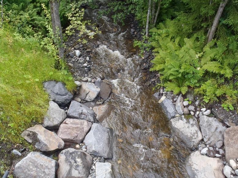 problem for auren, og hindrer dermed en bedre tilstandsvurdering selv om tettheten nok er naturlig lav på denne stasjonen.