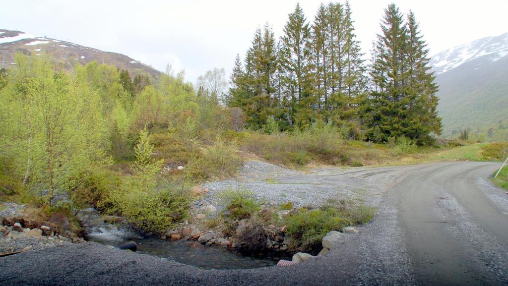 2.4 Landskap og naturgrunnlag Området er forholdsvis flatt og består av ein mindre morenerygg.