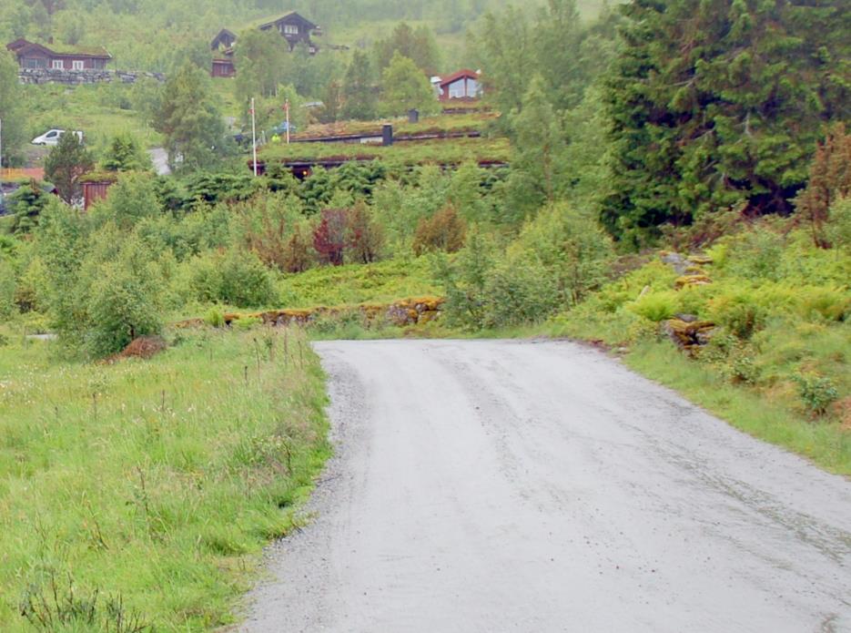 3. Planforslaget 3.1 Arealdisponering Arealbruken visast på plankartet. Planområdet er på 1,25 daa, inkl. del av bekk, terskel og veg. Byggbart areal på tomta er på ca. 400 m2. 3.2 Forholdet til flaum og erosjon Asplan Viak v/geolog Per Sigve Selseng har gjennomført synfaring og vurdering av flaum og erosjon mot mindre bekk i aust.