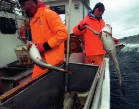 Økonomiske og biologiske nøkkeltal frå dei norske fiskeria ÅR