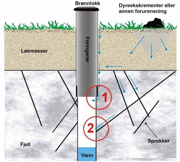 Figur 2 To av problemindikatorene identifisert i Brønnkvalitetsprosjektet til NGU er vist med nummererte røde sirkler. Nr. 1 viser manglende tetting mellom fôringsrør og fjell og nr.