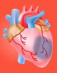 12 -hemmer = klopidogrel, prasugrel, tikagrelor PCI = «percutaneous coronary intervention» Stabil CAD = stabil koronarsykdom (stabil angina pectoris) STEMI =