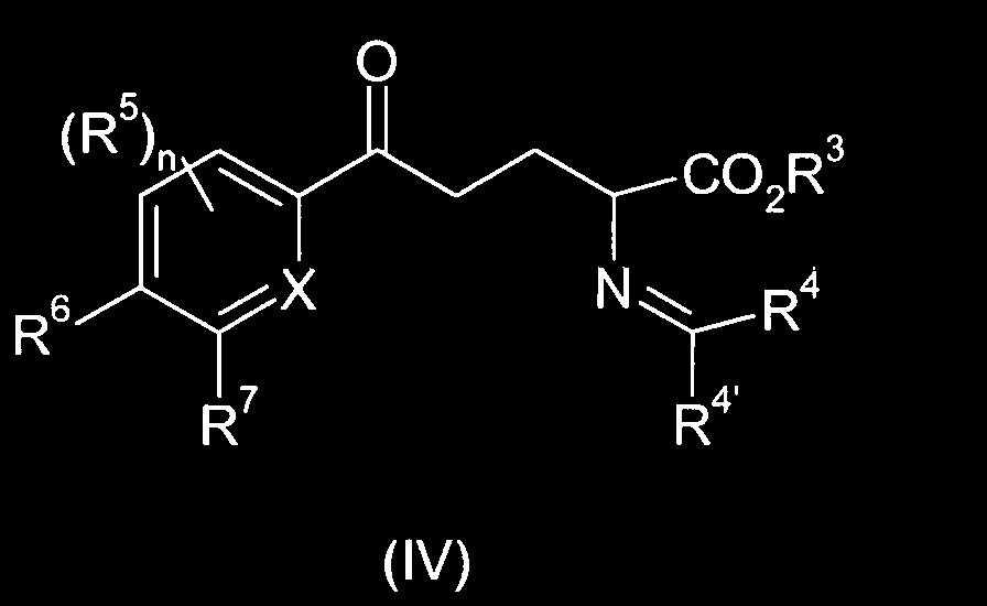 korresponderende forbindelsen av formel (IV) hvori X, R, R 6, R 7, R 3, R 4, R 4 og n er som definert ovenfor; og hvori den kirale ligand blir valgt i