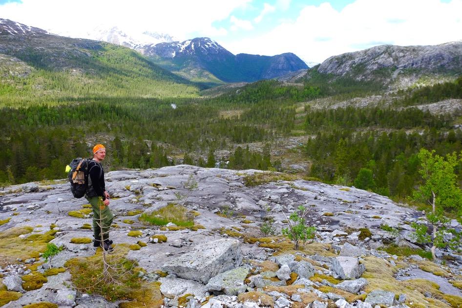 Riving av høyspentlinje Helgelandskraft har i tråd med konsesjonsvilkår revet høyspentlinjen gjennom Strauman LVO og Lomsdal-Visten NP.