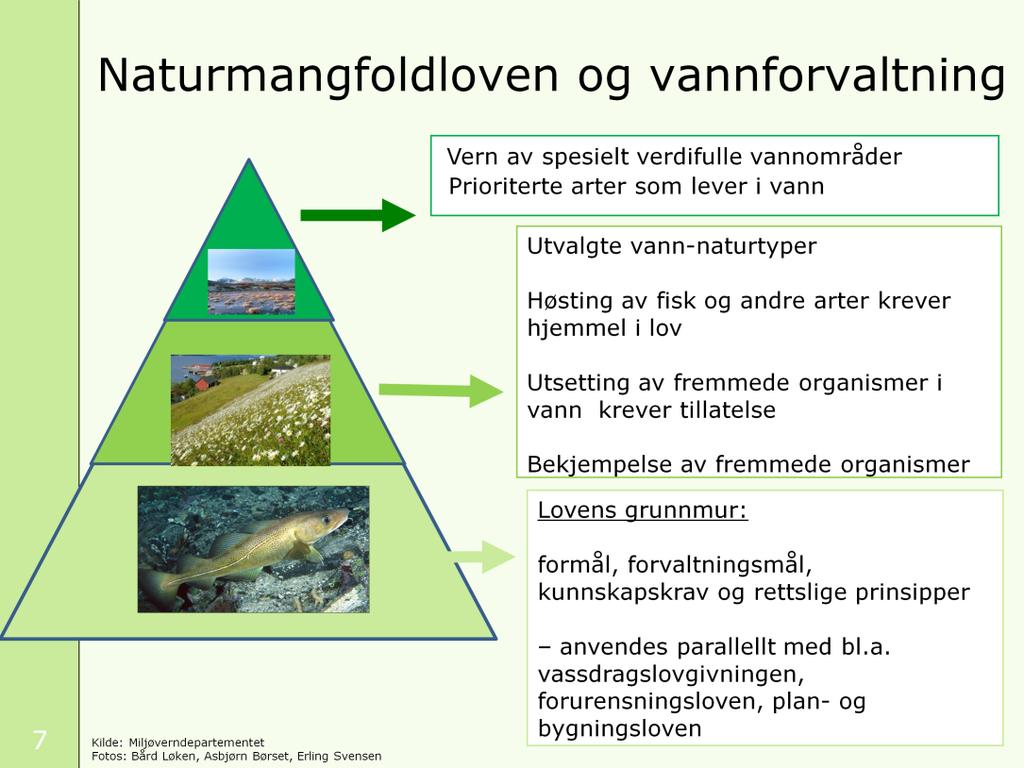 Først litt om naturmangfoldlovens hovedgrep: Toppen av pyramiden: Her finner vi verneområder og prioriterte arter og det mest verdifulle av norsk natur.