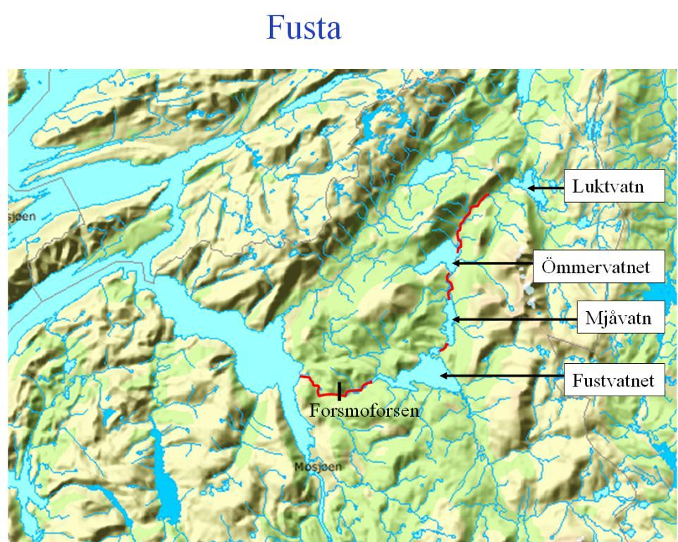 Vefsna-regionen Opprinnelig planlagt behandling rotenon 2010-11, budsjett ca 50 mill G. salaris i Fustvatnet i 2009 Forsøk viste at det var snakk om den samme dødelige variant som i elvene.