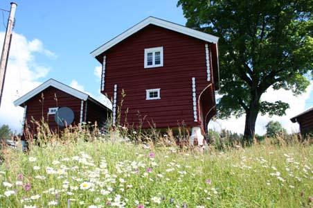 EGNA AREALER FOR UTVIKLING AV BLOMSTERENG (TØRRENG) «Barndommens blomstereng» Lysåpne Opplendt, skrinn og tørkesvak jord, Gjerne grunnlendt / fjell i dagen Ikke mye tråkk / slitasje Ikke svartelista