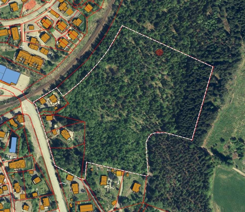 Bakgrunn BioFokus har på oppdrag fra Oxer Eiendom Asker Panorama kartlagt naturverdier på en tomt på Rotnes i Nittedal kommune i Akershus (figur 1). Oppdraget ble forespurt av Hans Petter Semlitsch.