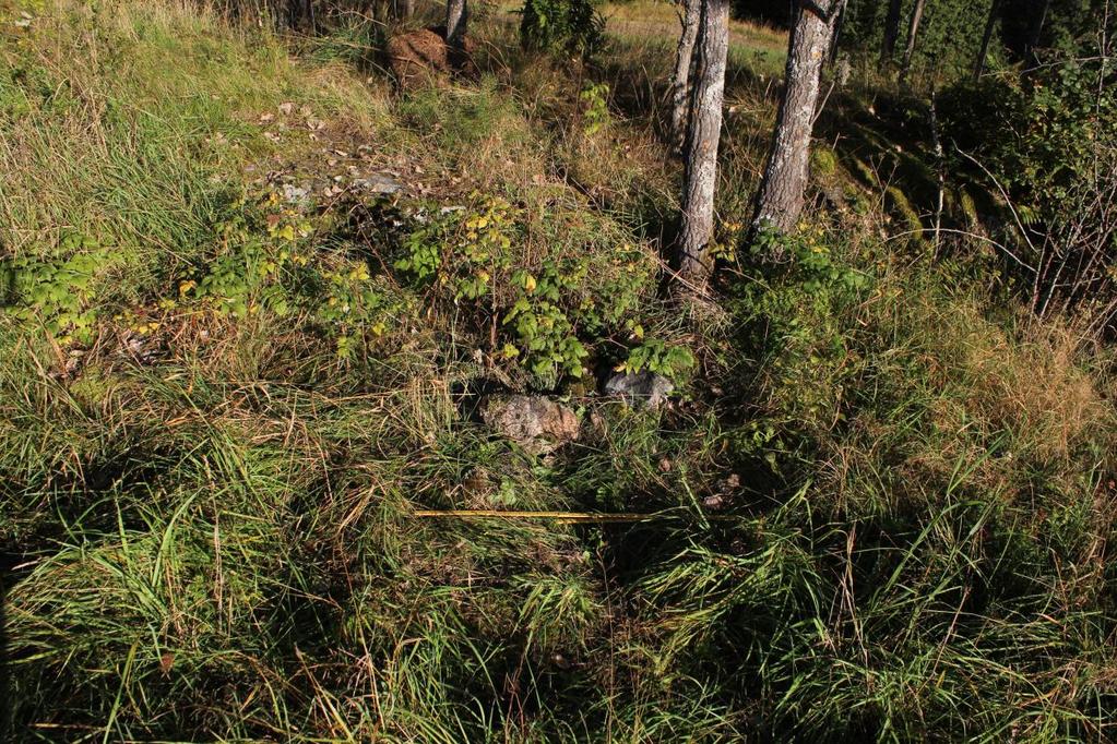 Ø degården f el t B 2, B 3, B 5 og B 14 - Lørenskog Funn Innenfor planområdet ble det funnet fire rydningsrøyser fordelt på tre lokaliteter.