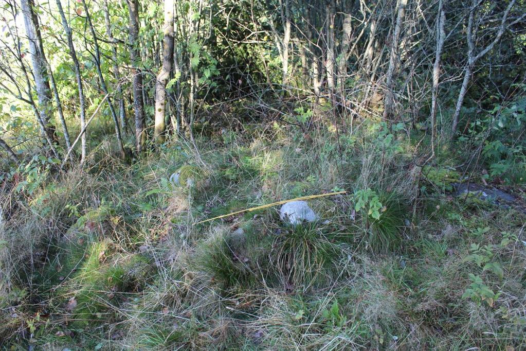 Idnr. 226683. Rydningsrøyslokalitet fra nyere tid på Skaarer-Ødegaarden gbnr. 106/196. Lokaliteten består av en enkeltliggende rydningsrøys i utkanten av dyrket mark, anlagt inntil berg.