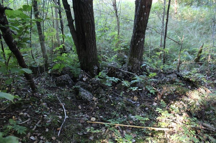 F1 Rydningsrøys Mål: 5 x 1,5 m Rydningsrøysa er lav og består tilsynelatende av et lag med stein. Det er varierende størrelse på steinen, 15-50 cm. i diameter.