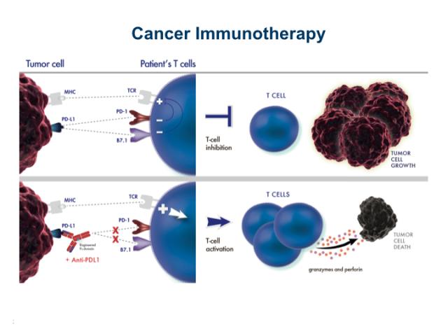 Cancer therapy combining