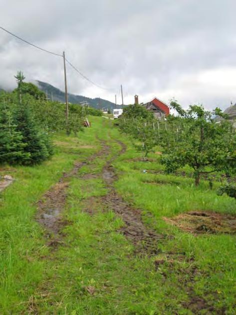 Om eldste Sjoarvegen vart det i 2007 avsagt dom om rettar og bruk. Den eldste vegen mellom grendene gjekk gjennom fellestunet (der skulen ligg i dag).