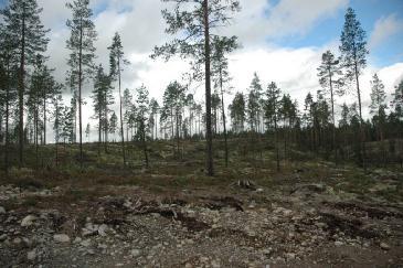 Nord- vest i Vika hyttefelt det