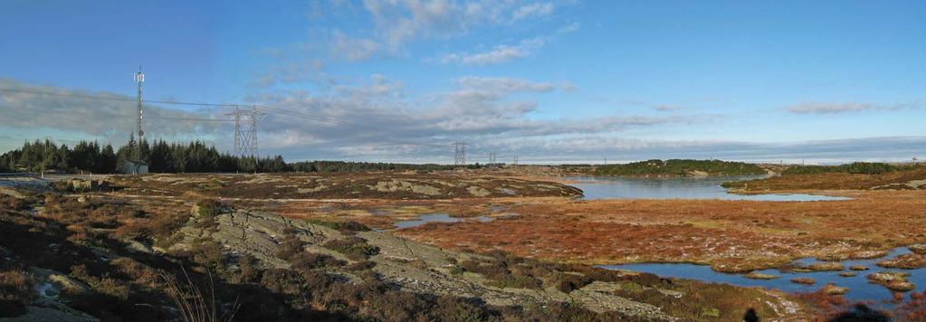 Riksveg 561 deler opp Tjeldstømarka i naturreservat i øst og gjengroingsskog i vest. Sett nordover.