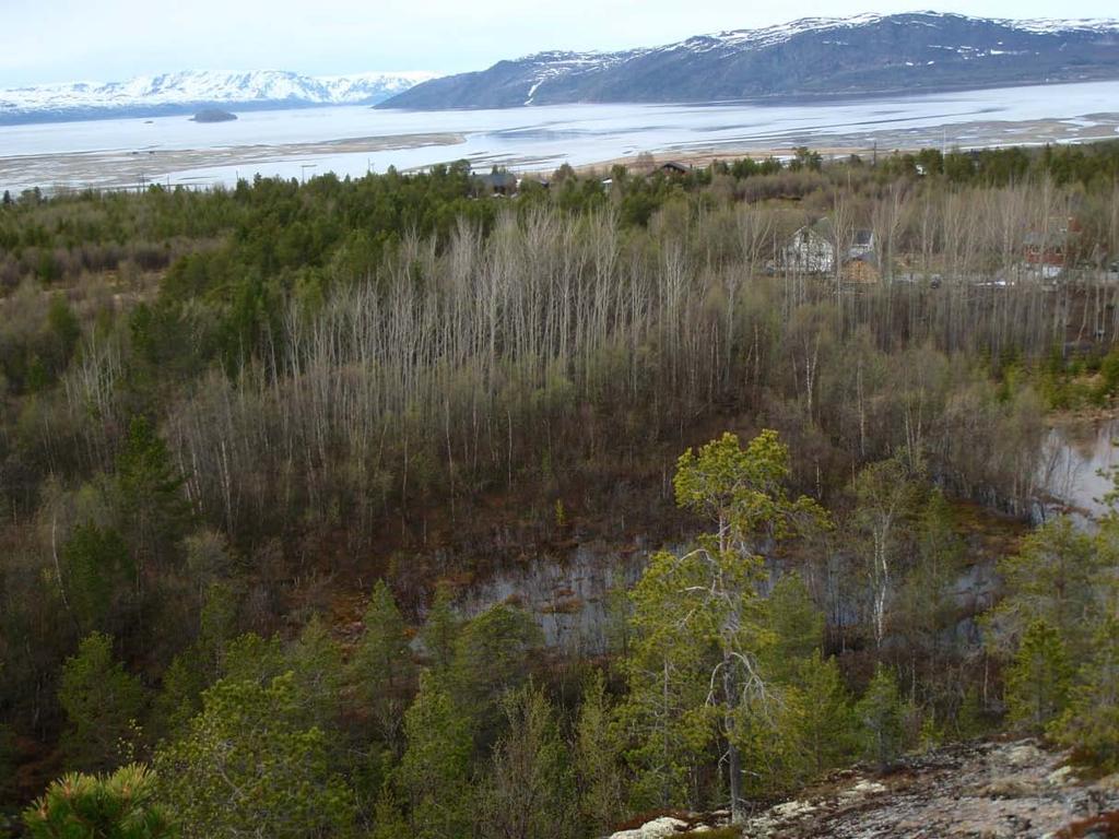 Side: 6 gresskledd. Her forsvinner vannet ned i grunnen. Ved befaring var det stor snøsmelting og det sto vann inne på flata.