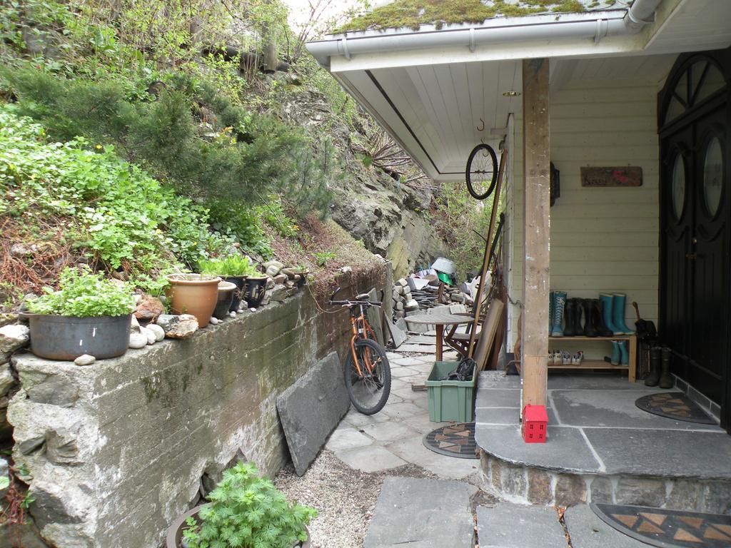 Figur 3: Oversiktsfoto, skråning ved inngang til bolig i Laura Gundersens gate 8. Skråningen ved boligene er bevokst med hagevekster, småtrær, gras, mose og lyng.